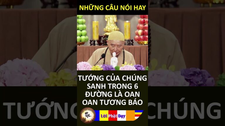 TƯỚNG CỦA CHÚNG SANH TRONG 6 ĐƯỜNG LÀ OAN OAN TƯƠNG BÁO – Pháp Sư Tịnh Không | Phật Pháp Nhiệm Màu