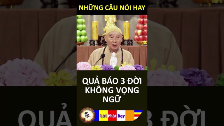 QUẢ BÁO 3 ĐỜI KHÔNG VỌNG NGỮ – Pháp Sư Tịnh Không | Phật Pháp Nhiệm Màu