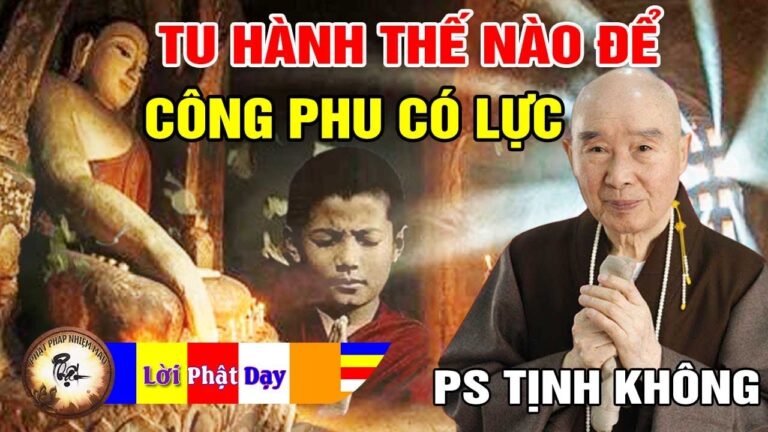 Tu Hành thế nào để Công Phu Có Lực? Pháp Sư Tịnh Không | Phật Pháp Nhiệm Màu