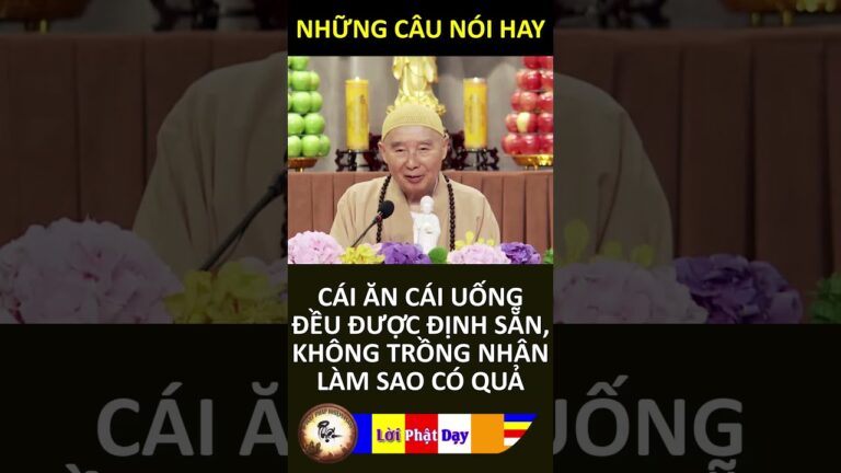 CÁI ĂN CÁI UỐNG ĐỀU ĐƯỢC ĐỊNH SẴN, KHÔNG TRỒNG NHÂN LÀM SAO CÓ QUẢ – Pháp Sư Tịnh Không | PPNM