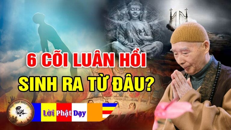 6 Cõi Luân Hồi Sinh Ra Từ Đâu? Pháp Sư Tịnh Không | Phật Pháp Nhiệm Màu