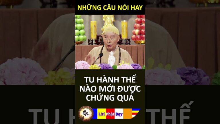 TU HÀNH THẾ NÀO MỚI ĐƯỢC CHỨNG QUẢ – Pháp Sư Tịnh Không | Phật Pháp Nhiệm Màu