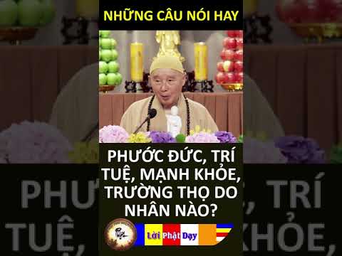 PHƯỚC ĐỨC, TRÍ TUỆ, MẠNH KHỎE, TRƯỜNG THỌ DO NHÂN NÀO – Pháp Sư Tịnh Không | Phật Pháp Nhiệm Màu