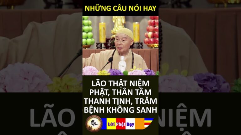 LÃO THẬT NIỆM PHẬT, THÂN TÂM THANH TỊNH, TRĂM BỆNH KHÔNG SANH – PS Tịnh Không | Phật Pháp Nhiệm Màu