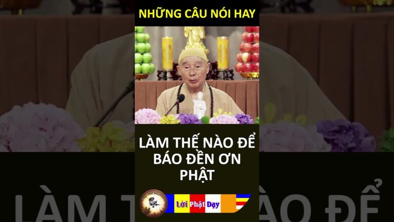 LÀM THẾ NÀO ĐỂ BÁO ĐỀN ƠN PHẬT – Pháp Sư Tịnh Không | Phật Pháp Nhiệm Màu