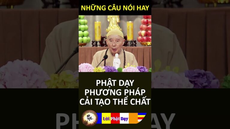 PHẬT DẠY PHƯƠNG PHÁP CẢI TẠO THỂ CHẤT – Pháp Sư Tịnh Không | Phật Pháp Nhiệm Màu