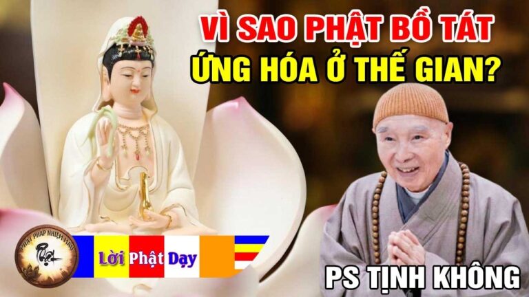 Phật Bồ Tát vì sao Ứng Hóa ở thế gian này? Pháp Sư Tịnh Không | Phật Pháp Nhiệm Màu