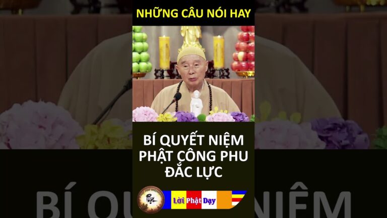 BÍ QUYẾT NIỆM PHẬT CÔNG PHU ĐẮC LỰC – Pháp Sư Tịnh Không | Phật Pháp Nhiệm Màu