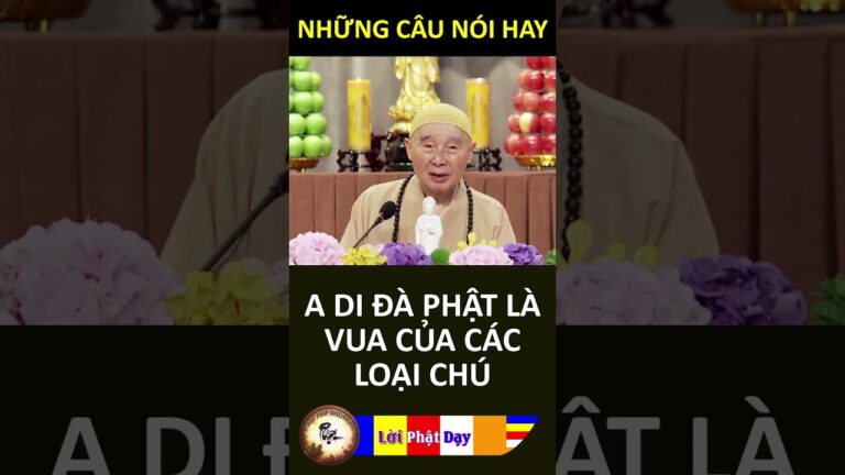 A Di Đà Phật là VUA của các loại CHÚ – Pháp Sư Tịnh Không | Phật Pháp Nhiệm Màu