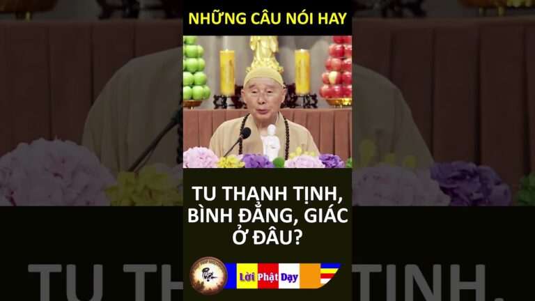 TU THANH TỊNH, BÌNH ĐẲNG, GIÁC Ở ĐÂU? Pháp Sư Tịnh Không | Phật Pháp Nhiệm Màu