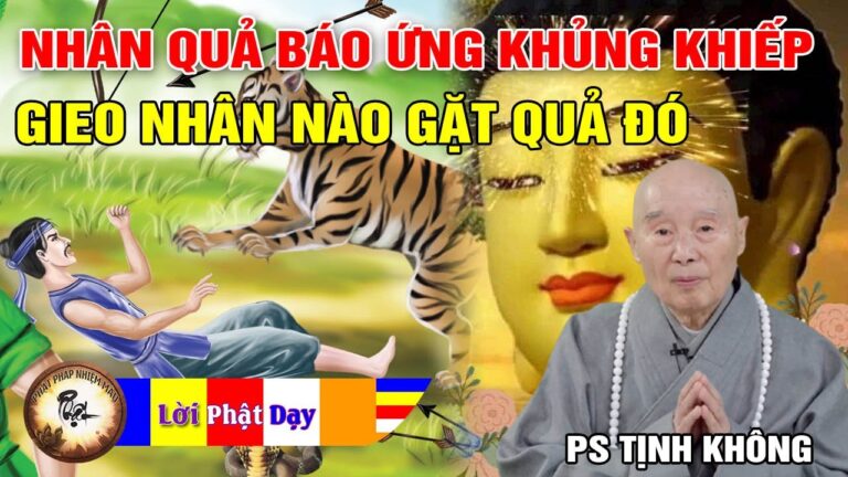 Nhân Quả Báo Ứng Hiện Đời – Gieo Nhân Nào Gặt Quá Đó – Pháp Sư Tịnh Không | Phật Pháp Nhiệm Màu