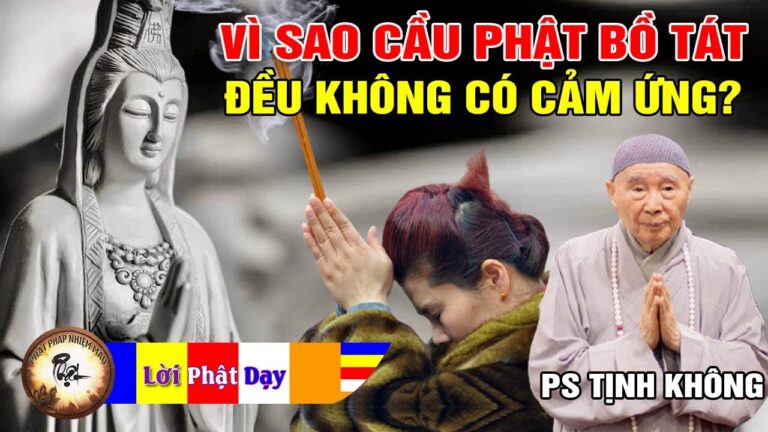 Vì sao Hầu Hết Mọi Người Cầu Phật Bồ Tát Đều Không Có Cảm Ứng? Pháp Sư Tịnh Không | Phật Pháp Nhiệm