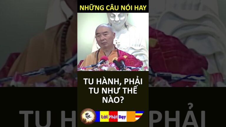 TU HÀNH, PHẢI TU NHƯ THẾ NÀO? Pháp Sư Tịnh Không – Phật Pháp Nhiệm Màu