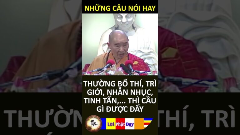 THƯỜNG BỐ THÍ, TRÌ GIỚI, NHẪN NHỤC, TINH TẤN, THÌ CẦU GÌ ĐƯỢC ĐẤY – Pháp Sư Tịnh Không – PPNM