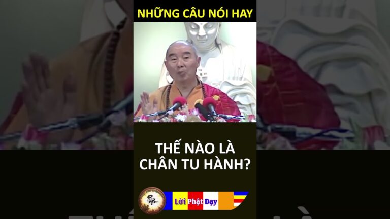 THẾ NÀO LÀ CHÂN TU HÀNH – Pháp Sư Tịnh Không – Phật Pháp Nhiệm Màu