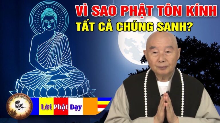 Phật Dạy Phải Tôn Kính Tất Cả Chúng Sanh – Pháp Sư Tịnh Không | Phật Pháp Nhiệm Màu