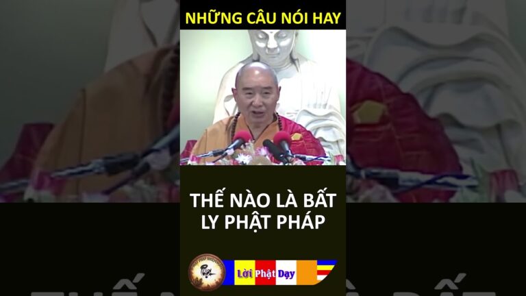 THẾ NÀO LÀ BẤT LY PHẬT PHÁP – Pháp Sư Tịnh Không | Phật Pháp Nhiệm Màu