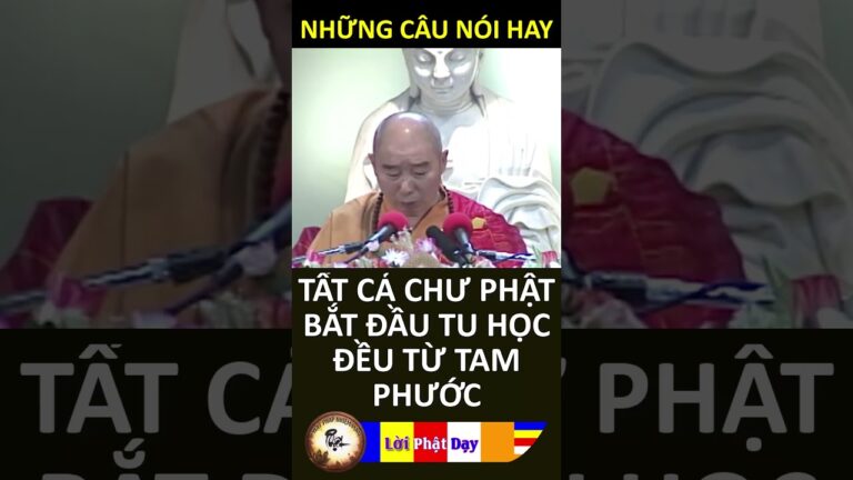 TẤT CẢ CHƯ PHẬT BẮT ĐẦU TU HỌC ĐỀU TỪ TAM PHƯỚC – Pháp Sư Tịnh Không | Phật Pháp Nhiệm Màu