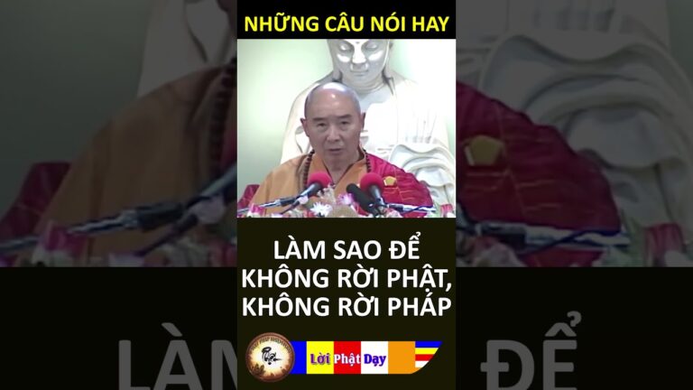 LÀM SAO ĐỂ KHÔNG RỜI PHẬT, KHÔNG RỜI PHÁP – Pháp Sư Tịnh Không |  Phật Pháp Nhiệm Màu