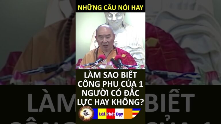 LÀM SAO BIẾT CÔNG PHU CỦA 1 NGƯỜI CÓ ĐẮC LỰC HAY KHÔNG – Pháp Sư Tịnh Không | Phật Pháp Nhiệm Màu