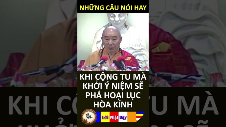 KHI CỘNG TU MÀ KHỞI Ý NIỆM SẼ PHÁ HOẠI LỤC HÒA KÍNH – Pháp Sư Tịnh Không | Phật Pháp Nhiệm Màu