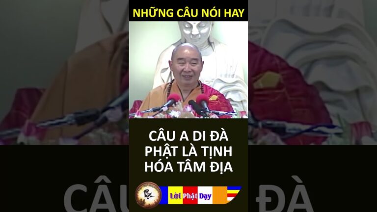 CÂU A DI ĐÀ PHẬT LÀ TỊNH HÓA TÂM ĐỊA – Pháp Sư Tịnh Không | Phật Pháp Nhiệm Màu