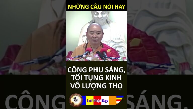 CÔNG PHU SÁNG, TỐI TỤNG KINH VÔ LƯỢNG THỌ – Pháp Sư Tịnh Không | Phật Pháp Nhiệm Màu