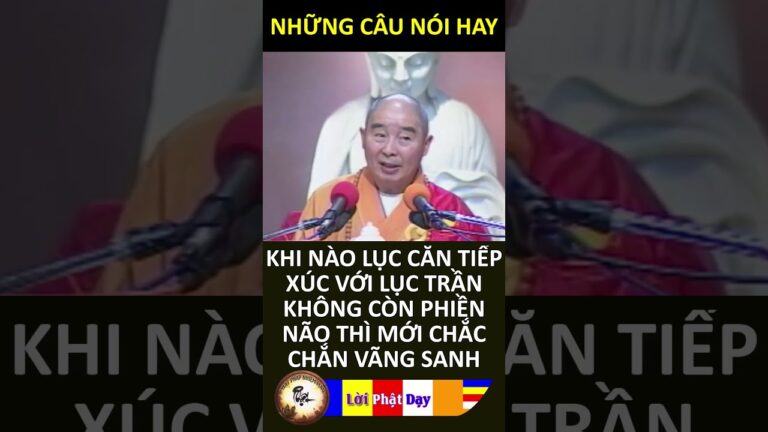 KHI NÀO LỤC CĂN TIẾP XÚC VỚI LỤC TRẦN KHÔNG CÒN PHIỀN NÃO THÌ MỚI CHẮC CHẮN VÃNG SANH Ps Tịnh Không