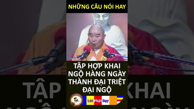 TẬP HỢP KHAI NGỘ HÀNG NGÀY THÀNH ĐẠI TRIỆT ĐẠI NGỘ – Pháp Sư Tịnh Không | Phật Pháp Nhiệm Màu