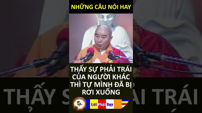 THẤY SỰ PHẢI TRÁI CỦA NGƯỜI KHÁC THÌ TỰ MÌNH ĐÃ BỊ RƠI XUỐNG Pháp Sư Tịnh Không Phật Pháp Nhiệm Màu