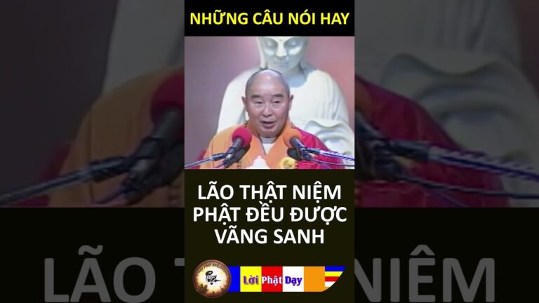 LÃO THẬT NIỆM PHẬT ĐỀU ĐƯỢC VÃNG SANH – Pháp Sư Tịnh Không | Phật Pháp Nhiệm Màu