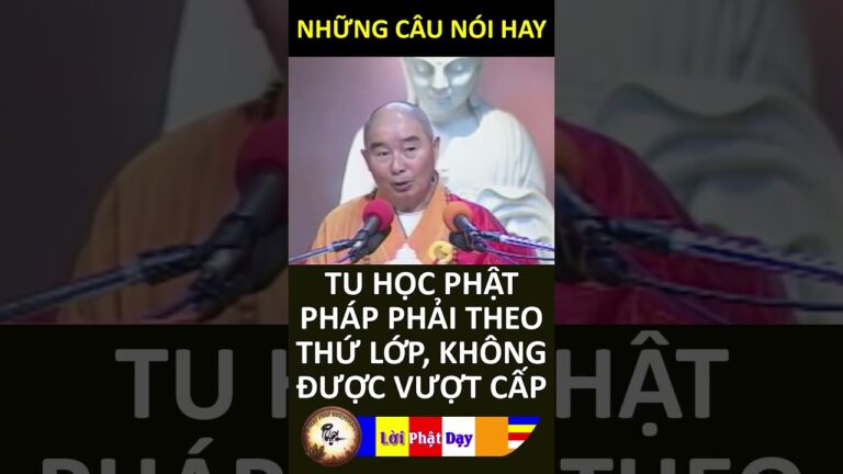 TU HỌC PHẬT PHÁP PHẢI THEO THỨ LỚP, KHÔNG ĐƯỢC VƯỢT CẤP – Pháp Sư Tịnh Không | Phật Pháp Nhiệm Màu