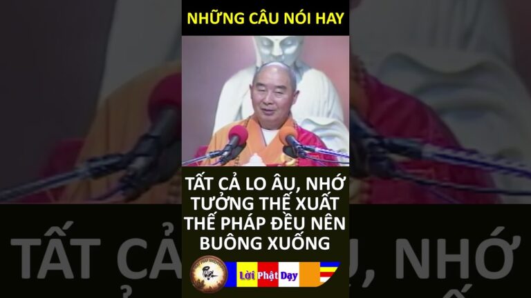 TẤT CẢ LO ÂU, NHỚ TƯỞNG THẾ XUẤT THẾ PHÁP ĐỀU NÊN BUÔNG XUỐNG – HT Tịnh Không | PPNM