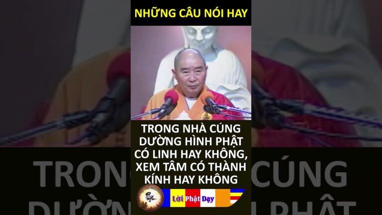 TRONG NHÀ CÚNG DƯỜNG HÌNH PHẬT CÓ LINH HAY KHÔNG, XEM TÂM CÓ THÀNH KÍNH HAY KHÔNG – HT Tịnh Không