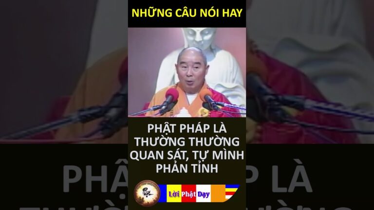 HT Tịnh Không – Phật Pháp Là Thường Thường Quan Sát, Tự Mình Phản Tỉnh | PPNM