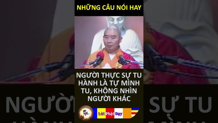 Người Thực Sự Tu Hành Là Tự Mình Tu, Không Nhìn Người Khác – HT Tịnh Không | PPNM