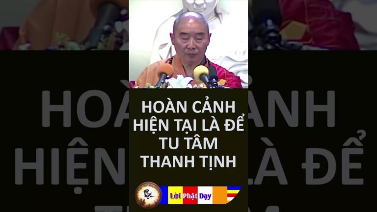 Hoàn Cảnh Hiện Thực Là Hoàn Cảnh Để Tu Tâm Thanh Tịnh – HT Tịnh Không | PPNM