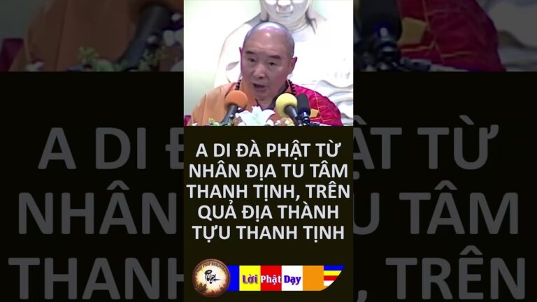 A Di Đà Phật Từ Nhân Địa Tu Tâm Thanh Tịnh, Trên Quả Địa Thành Tựu Thanh Tịnh – HT Tịnh Không | PPNM