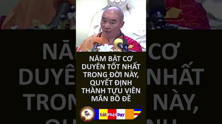 Nắm bắt cơ duyên tốt nhất trong đời này Quyết định thành tựu viên mãn Bồ Đề – HT Tịnh Không | PPNM