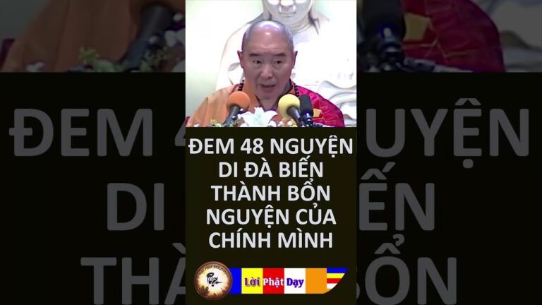 Đem 48 Nguyện Di Đà Biến Thành Bổn Nguyện Của Chính Mình – HT Tịnh Không | PPNM