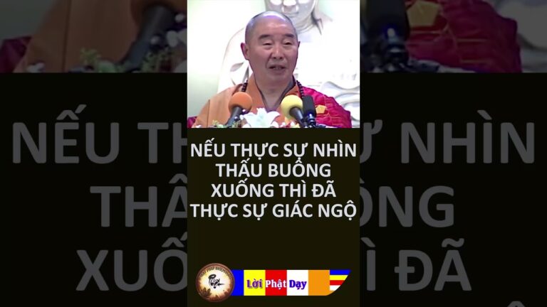 Nếu Thực Sự Nhìn Thấu Buông Xuống Thì Đã Thực Sự Giác Ngộ – HT Tịnh Không | PPNM