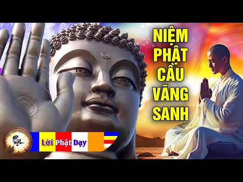 Người chân thật Niệm Phật cầu vãng sanh có nên Không uống thuốc Không khám bệnh? HT. Tịnh Không