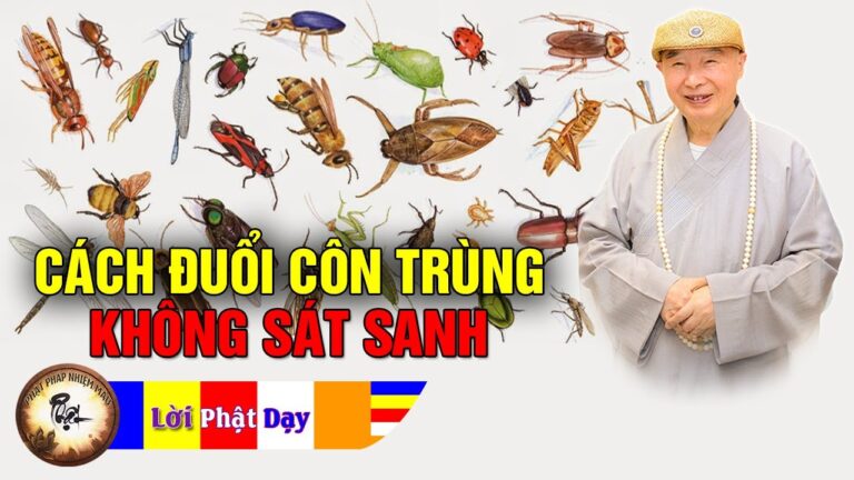 Cách đuổi côn trùng ra khỏi nhà KHÔNG SÁT SANH – HT. Tịnh Không | Phật Pháp Nhiệm Màu