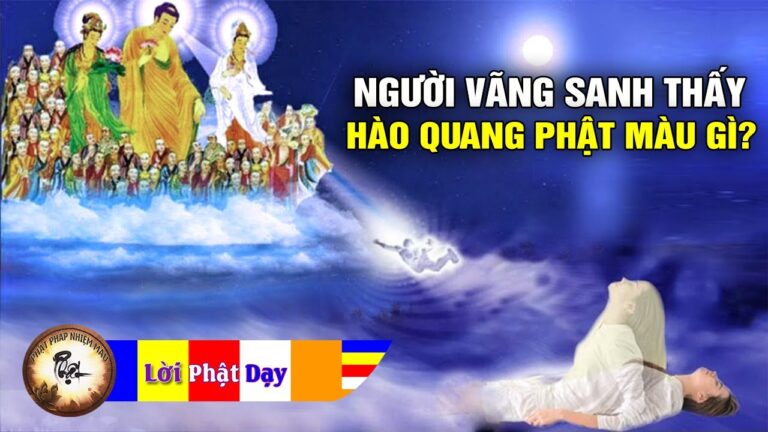 Lúc vãng sanh thấy hào quang Phật màu gì? Hòa thượng Tịnh Không | Phật Pháp Nhiệm Màu