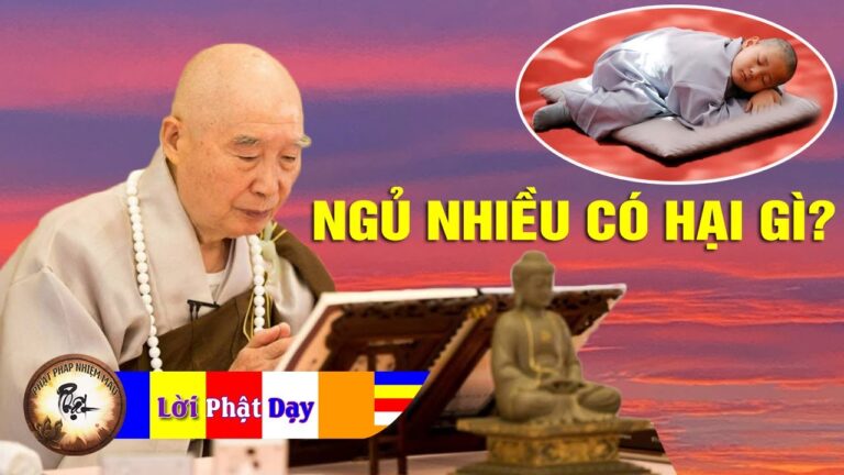 Hòa thượng Tịnh Không MỚI NHẤT – Lời Phật Dạy Ngủ Nhiều Có Những Lỗi Gì? Phật Pháp Nhiệm Màu