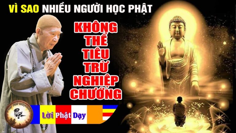 Nhiều người học Phật KHÔNG thể tiêu trừ NGHIỆP CHƯỚNG – Hòa thượng Tịnh Không thuyết pháp mới nhất