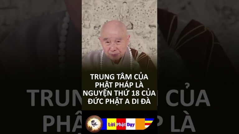 Trung tâm của Phật pháp là nguyện thứ 18 của Đức Phật A Di Đà | Hòa thượng Tịnh Không | PPNM