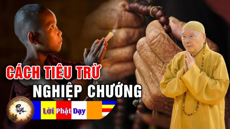 Cách Tiêu Trừ Nghiệp Chướng – Hòa thượng Tịnh Không | Phật Pháp Nhiệm Màu