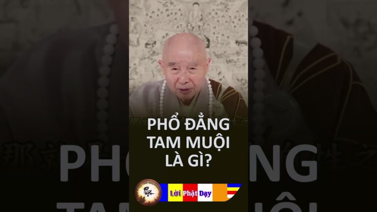 Phổ Đẳng Tam Muội là gì? HT. Tịnh Không | PPNM