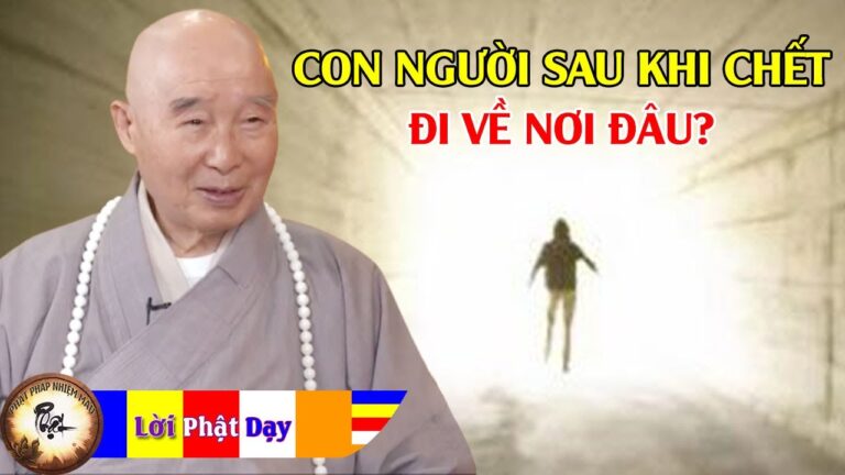 Con người sau khi chết sẽ đi về đâu? Tội, phước của chúng ta được ghi chép như thế nào?